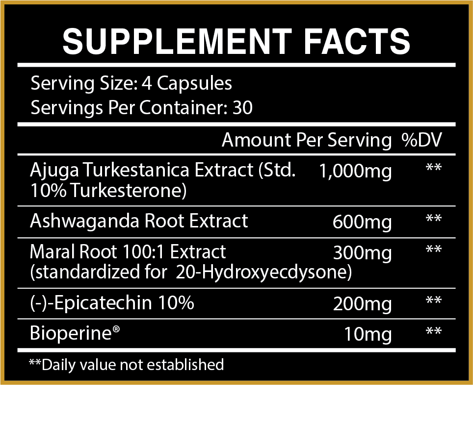 STEEL & STONE STACK: TURKOVAR, LINGADRINE, & WARPATH - CENTURION LABZ