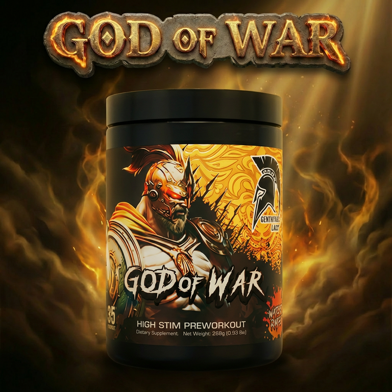 GOD OF WAR®