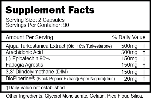 STEEL & STONE STACK: TURKOVAR, LINGADRINE, & WARPATH - CENTURION LABZ